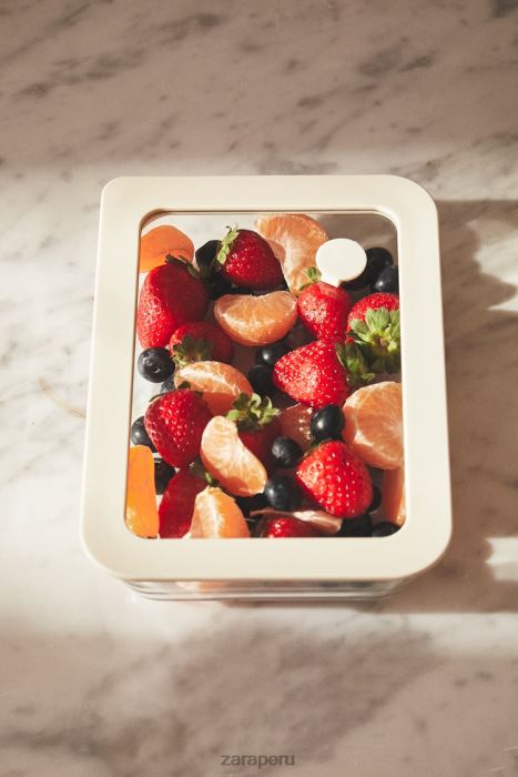 Zara unisexo recipiente hermético 23.67 oz BDP8J1691 accesorios crema