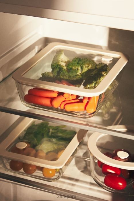 Zara unisexo recipiente hermético 47.34 oz BDP8J1690 accesorios crema