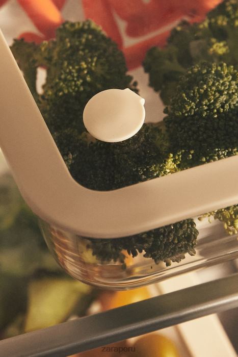 Zara unisexo recipiente hermético 47.34 oz BDP8J1690 accesorios crema