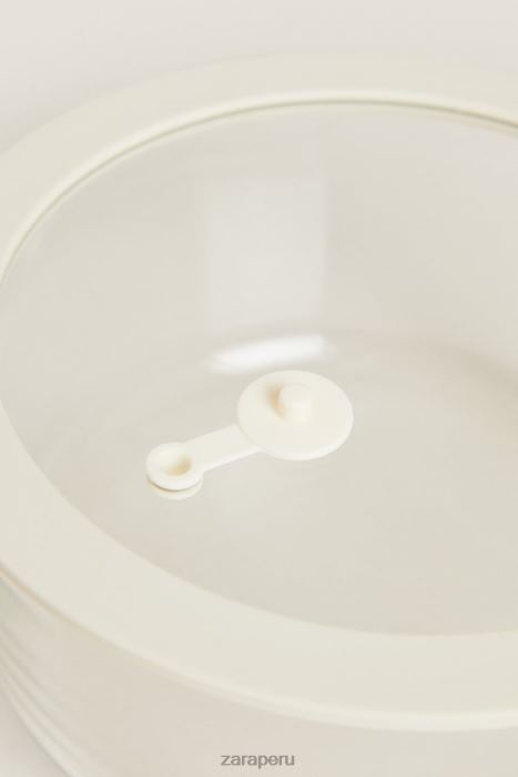 Zara unisexo recipiente hermético 55.86 oz BDP8J1692 accesorios crema