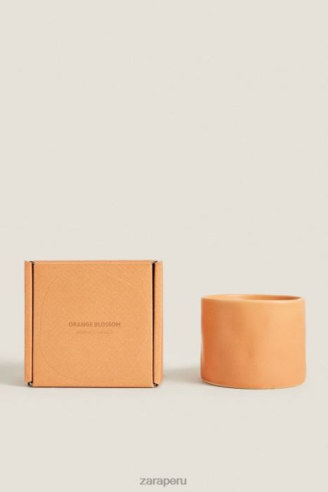 Zara unisexo (150 g) vela perfumada de flores BDP8J1757 accesorios naranja