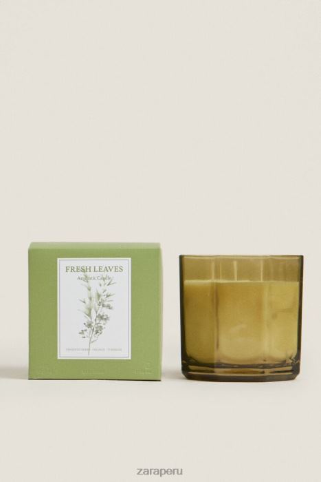Zara unisexo (500 g) vela perfumada de hojas frescas BDP8J1763 accesorios tierra