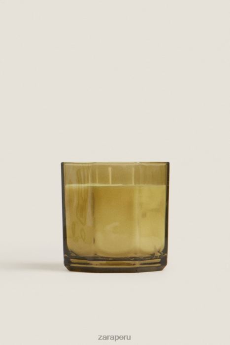 Zara unisexo (500 g) vela perfumada de hojas frescas BDP8J1763 accesorios tierra