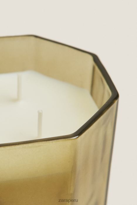 Zara unisexo (500 g) vela perfumada de hojas frescas BDP8J1763 accesorios tierra