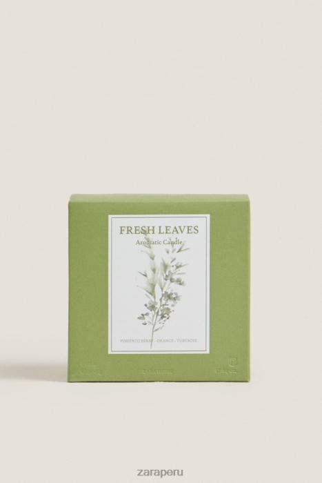 Zara unisexo (500 g) vela perfumada de hojas frescas BDP8J1763 accesorios tierra