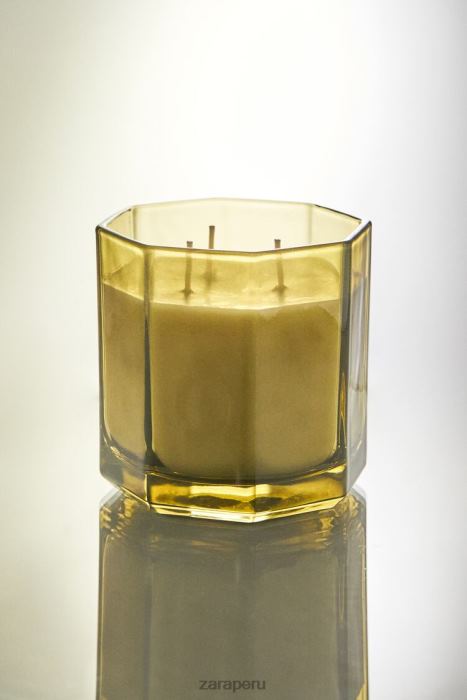 Zara unisexo (500 g) vela perfumada de hojas frescas BDP8J1763 accesorios tierra