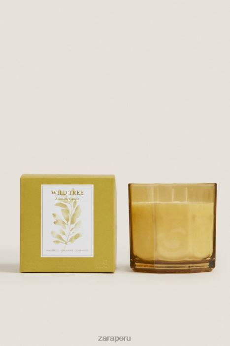 Zara unisexo (500 g) vela perfumada de árboles silvestres BDP8J1764 accesorios verde oliva
