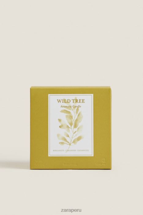 Zara unisexo (500 g) vela perfumada de árboles silvestres BDP8J1764 accesorios verde oliva