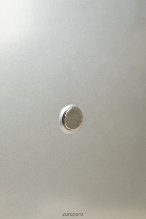 Zara unisexo papelera con tapa (169 oz) BDP8J1777 accesorios acero