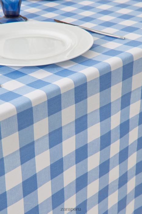 Zara unisexo mantel a cuadros de resina BDP8J1668 accesorios azul