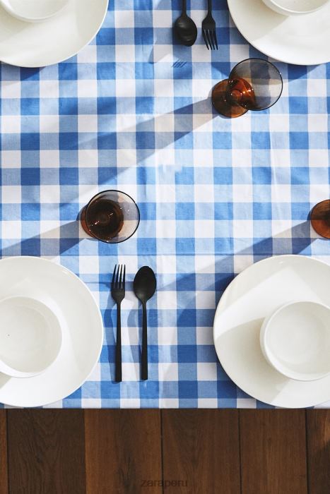 Zara unisexo mantel a cuadros de resina BDP8J1668 accesorios azul