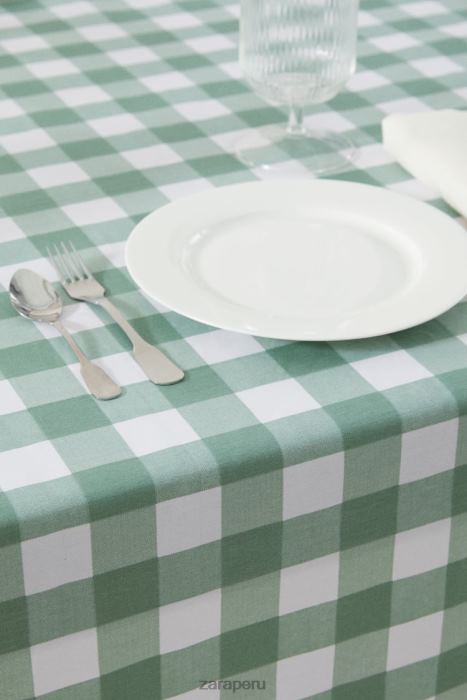 Zara unisexo mantel a cuadros de resina BDP8J1669 accesorios verde