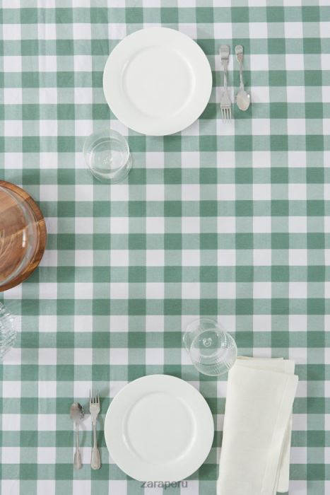 Zara unisexo mantel a cuadros de resina BDP8J1669 accesorios verde