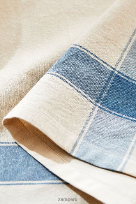 Zara unisexo mantel a rayas de hilo teñido BDP8J1674 accesorios azul