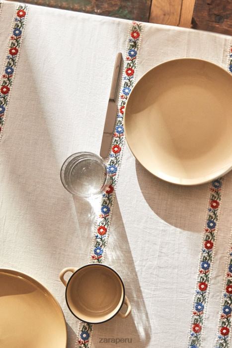 Zara unisexo mantel de algodón bordado BDP8J1662 accesorios blanco