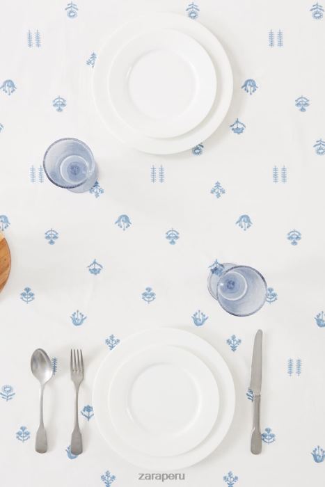 Zara unisexo mantel de flores bordadas BDP8J1676 accesorios azul