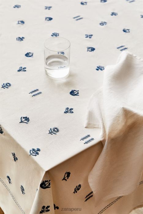 Zara unisexo mantel de flores bordadas BDP8J1676 accesorios azul
