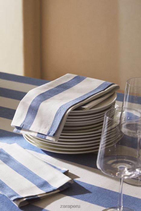 Zara unisexo servilletas de tela a rayas (juego de 2) BDP8J1667 accesorios azul