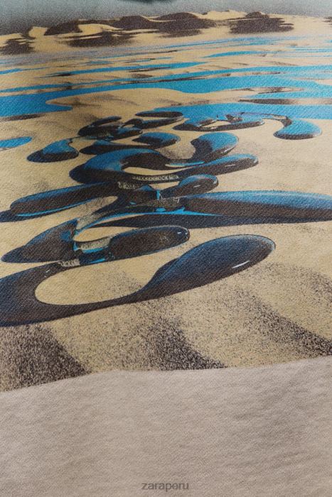 Zara hombres sudadera con capucha y estampado hatthanan BDP8J1077 ropa crudo