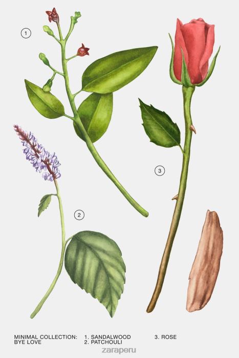 Zara mujer adiós amor 100 ml BDP8J801 accesorios original