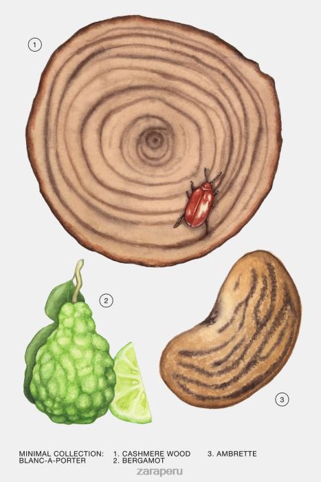 Zara mujer blanco a porter 100 ml BDP8J786 accesorios original