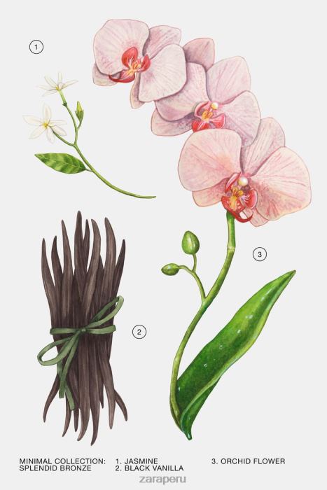 Zara mujer bronce espléndido 100 ml BDP8J799 accesorios original