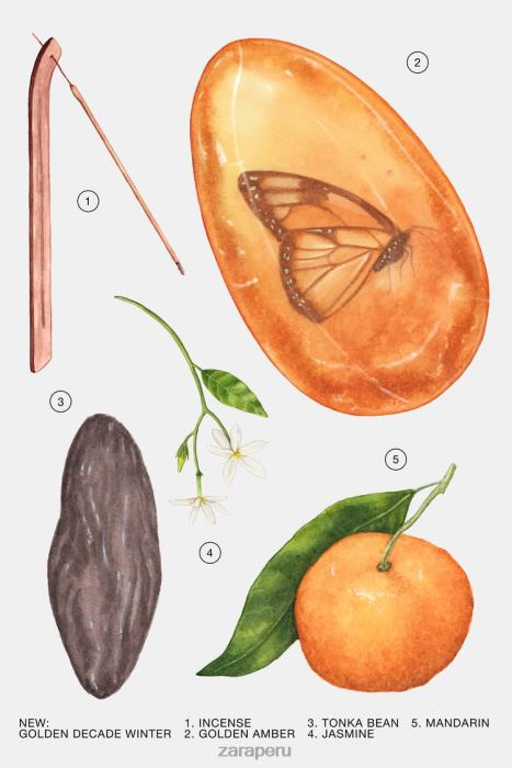 Zara mujer década dorada invierno 80 ml BDP8J771 accesorios original