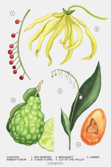 Zara mujer fusión ámbar 30 ml BDP8J780 accesorios original