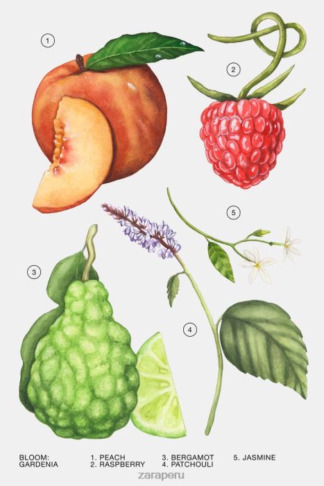 Zara mujer gardenia 180 ml (6,0 onzas líquidas) BDP8J804 accesorios original