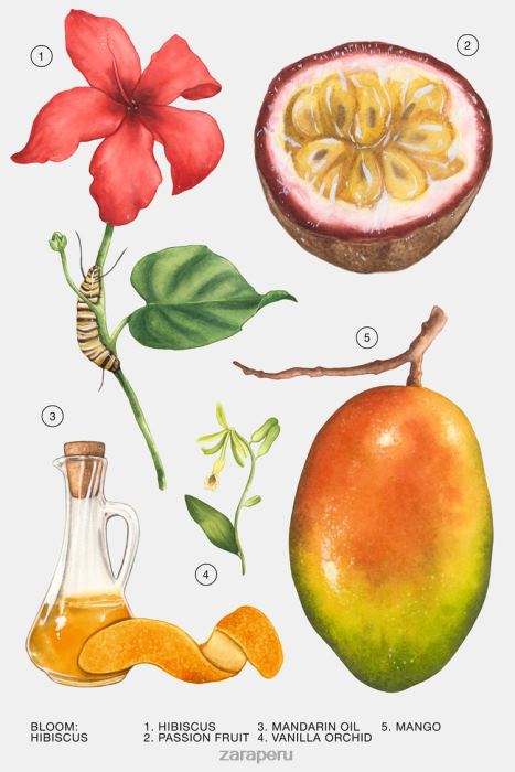 Zara mujer hibisco 90ml BDP8J803 accesorios original