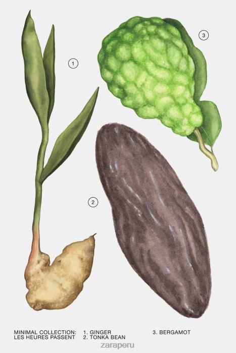 Zara mujer las horas pasadas 100 ml BDP8J793 accesorios original