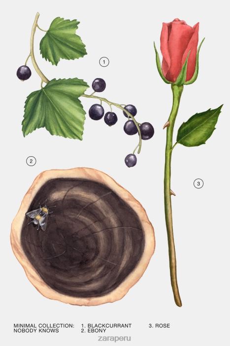 Zara mujer nadie sabe 100 ml BDP8J797 accesorios original