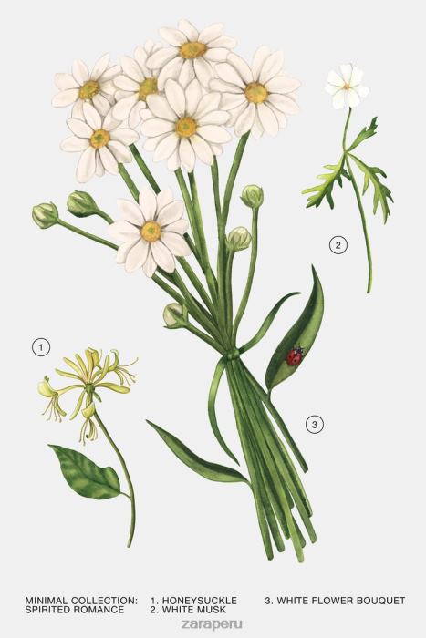 Zara mujer romance enérgico 100 ml BDP8J795 accesorios original