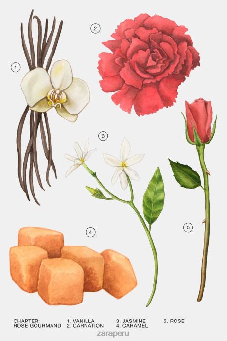 Zara mujer rosa golosa 10 ml BDP8J785 accesorios original