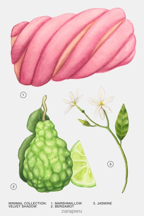 Zara mujer sombra de terciopelo 100 ml BDP8J792 accesorios original