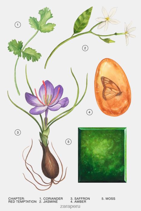 Zara mujer tentación roja 80 ml BDP8J772 accesorios original