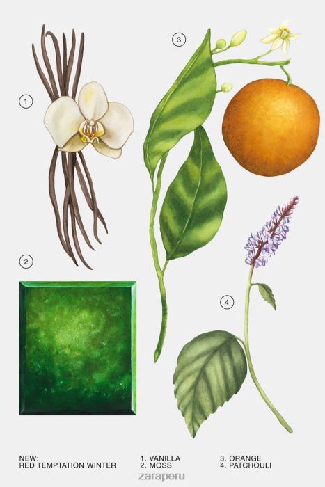 Zara mujer tentación roja invierno 80 ml BDP8J769 accesorios original