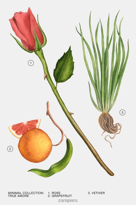 Zara mujer verdadero amor 100 ml BDP8J787 accesorios original