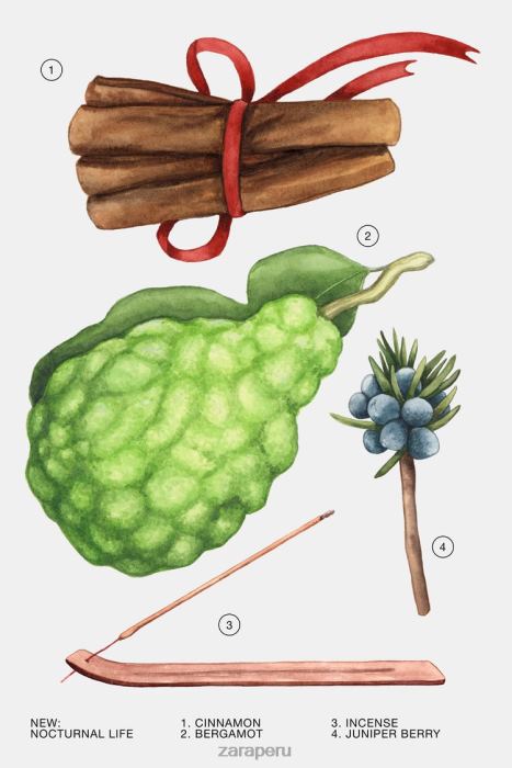 Zara mujer vida nocturna 80 ml (2,7 fl. oz) BDP8J770 accesorios original